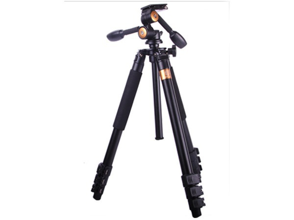 1597215934875262.jpg P4.1.2.jpg