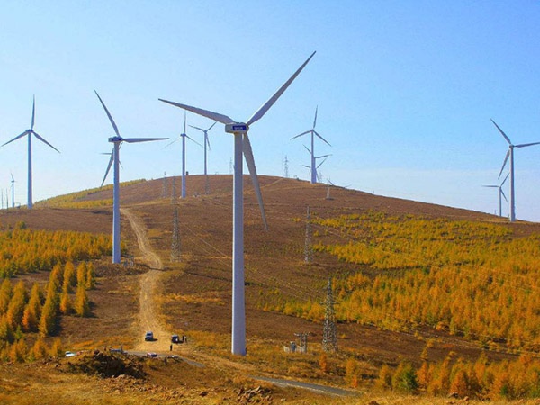 1597216005581218.jpg P4.1.7.jpg