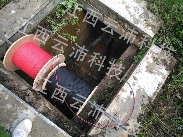 1597388709971402.jpg 图片2.jpg