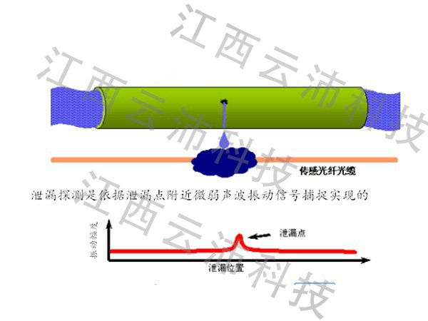 1597388909749253.jpg 图片1.jpg