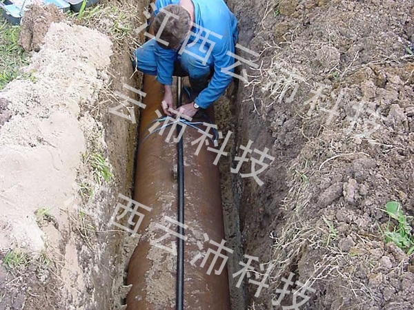 1597389317523683.jpg 图片2.jpg