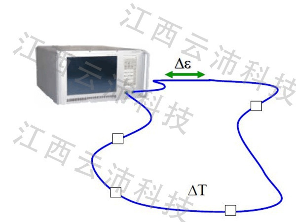 1597390458766231.jpg 图片3.jpg