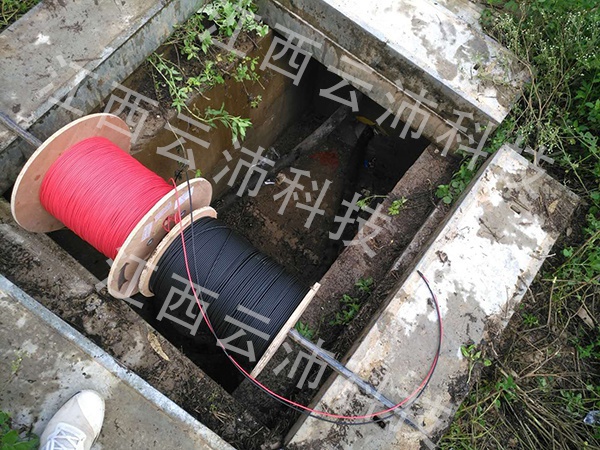 1597392252437643.jpg 图片3.jpg